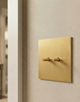 Gold stainless steel indoor easy-toggle light switch by Luxworth, showing the sleek switch with gold finish and toggle mechanism.