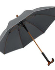 Detachable Walking Cane Umbrella