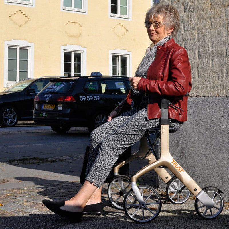 Luxworth Let's Fly luxury rollator by Trust Care with adjustable handles, sturdy frame, and comfortable seat for mobility support.